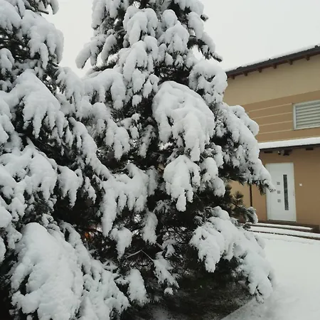 Villa Nea Ilidza